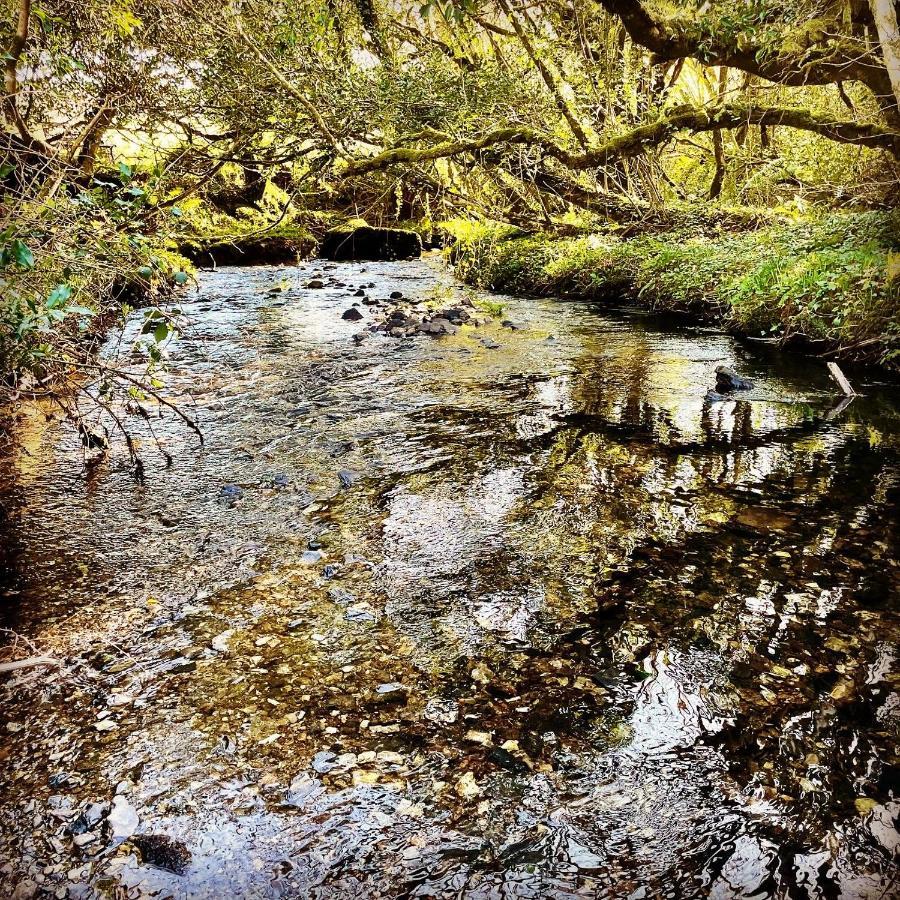Stepping Stones Glamping Little Red Hotel Bantry Bagian luar foto