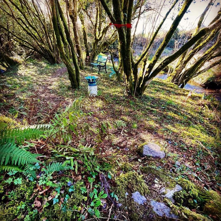 Stepping Stones Glamping Little Red Hotel Bantry Bagian luar foto
