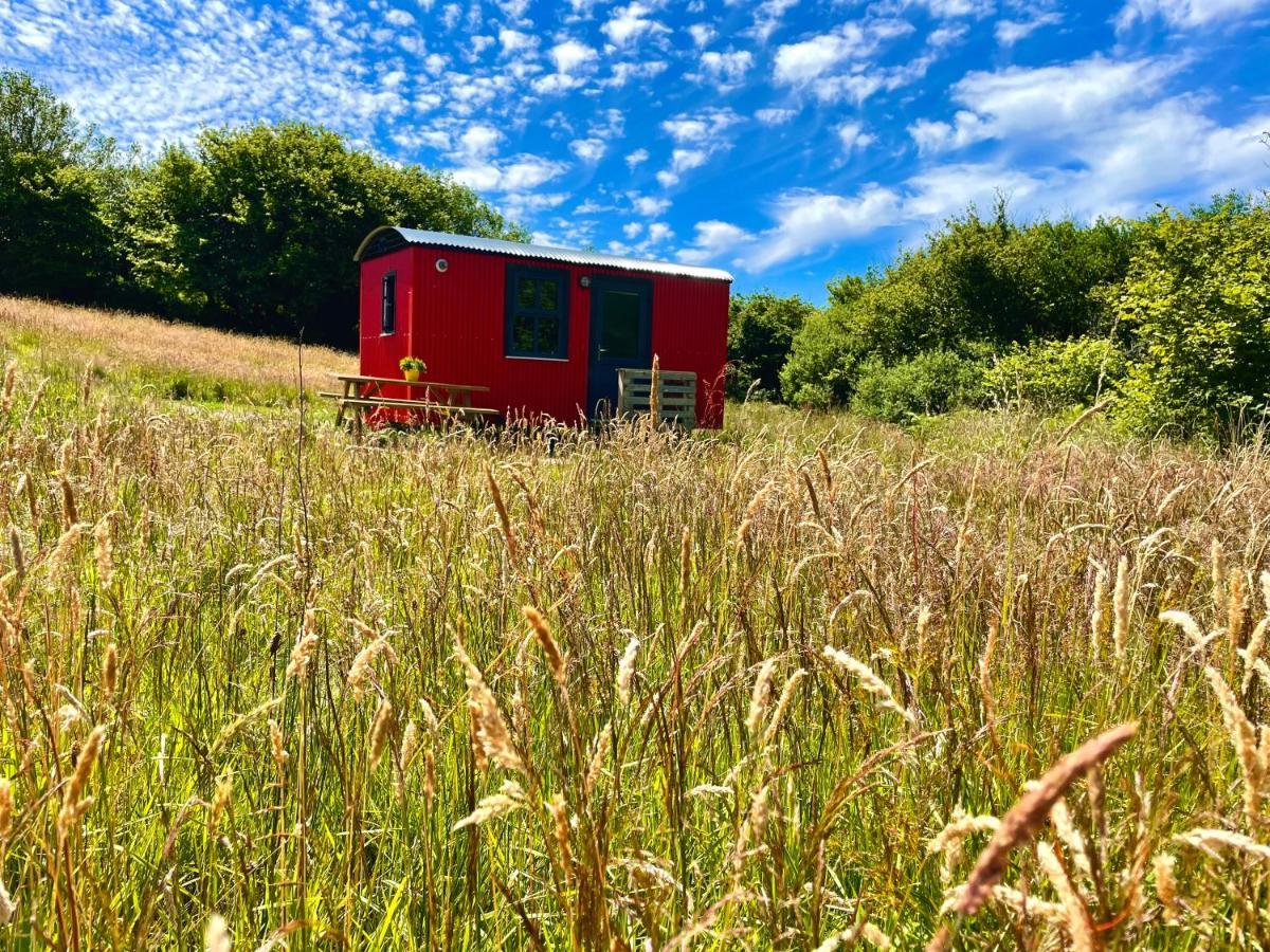 Stepping Stones Glamping Little Red Hotel Bantry Bagian luar foto