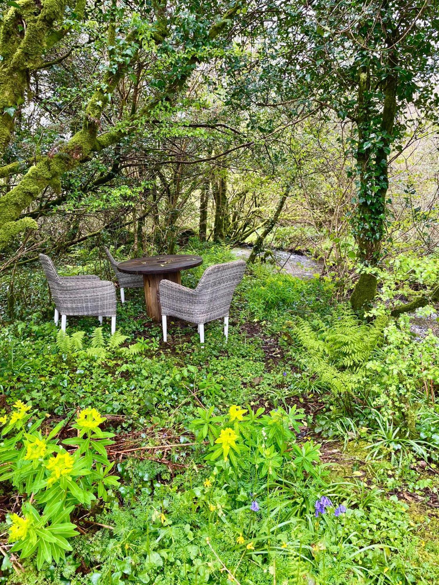 Stepping Stones Glamping Little Red Hotel Bantry Bagian luar foto